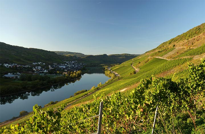 Sonnenuntergang bei Reil an der Mosel. Bild: Harald Steffens